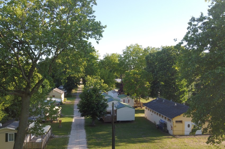 7DF7ED80A95854DA7D3226735F17144D