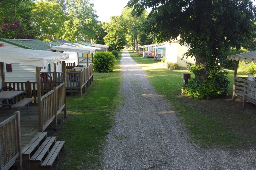 DF47AD1C8CC229D227B45AE0B9D34E06